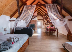 Penzion Na barokní cestě Wellness & Spa, Plasy